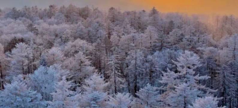 漫庭酒店(兴安国家森林公园店)图片