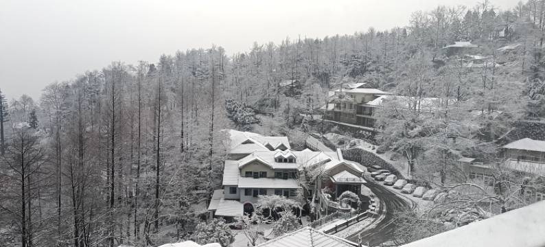 云庭酒店(莫干山风景区店)图片