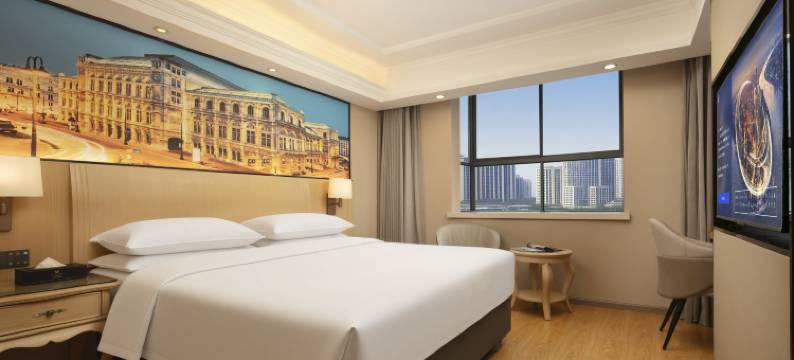 维也纳酒店(耒阳店)图片