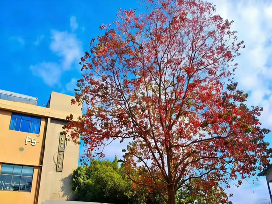 大榕树度假山庄(梧州市白云山龙母庙店)