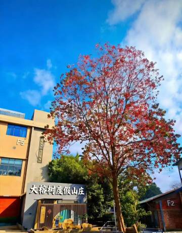 大榕树度假山庄(梧州市白云山龙母庙店)