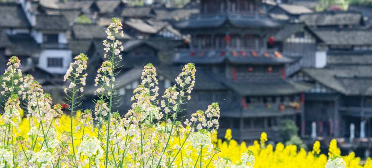 乌江寨吊脚楼民宿(遵义店)图片