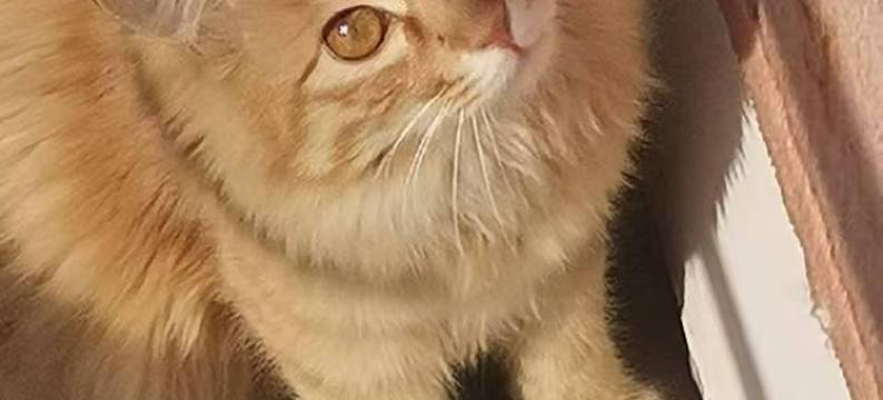 洛阳胖桔名宿(隋唐洛阳城应天门遗址店)图片