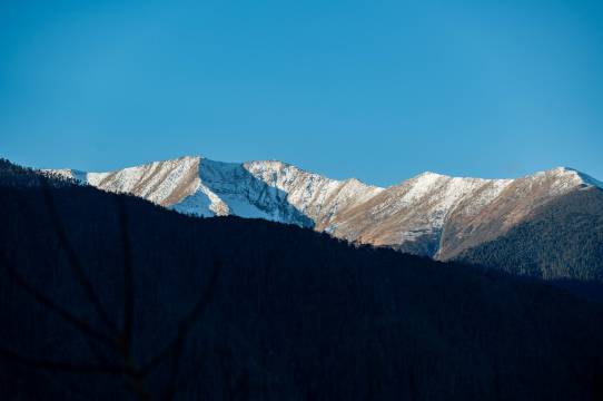 林芝藏南桃谷酒店图片
