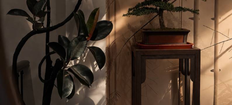 魏风云舍·四合院·设计师民宿(大同古城华严寺店)图片