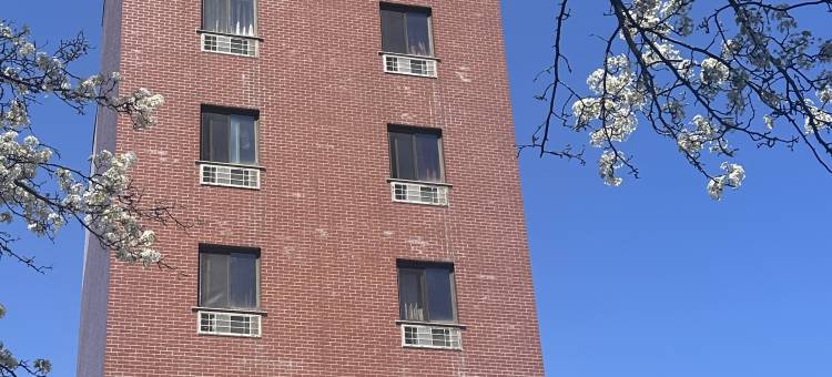 法拉盛中央酒店88(Flushing Central Hotel 88)图片