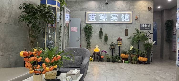 长春蓝鲸宾馆(东方广场光华学院店)图片