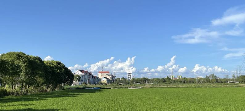 新华意方民宿图片