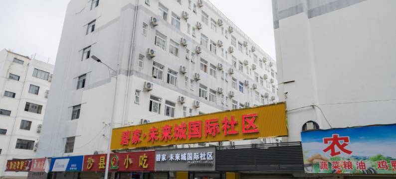 碧家国际社区酒店公寓(深圳坂田雪象地铁站店)图片