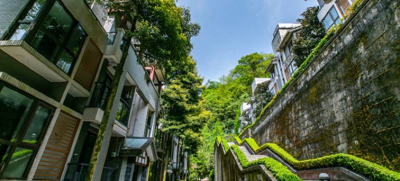 青城山清居坪温泉度假名寓图片