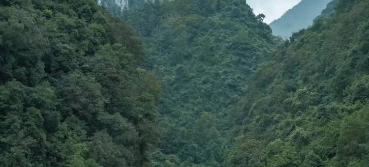 云山雾罩民宿(荔波小七孔东门店)图片