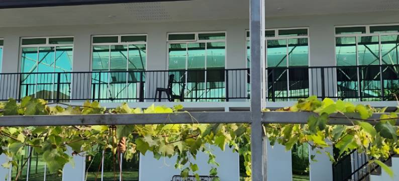 葡萄藤花园酒店(Grapevine Garden)图片