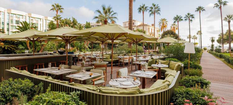 蒙德里安戛纳(Mondrian Cannes)图片