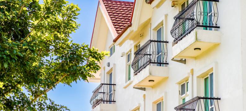 花莲旷野咖啡庄园图片