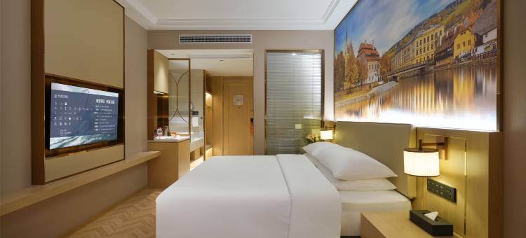 维也纳酒店(安庆碧桂园万达广场店)图片