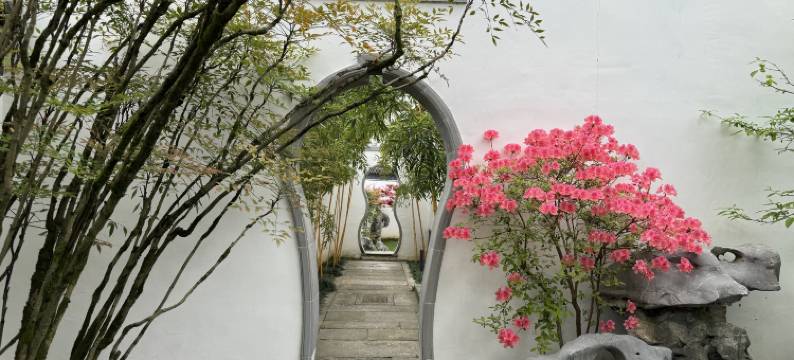 黄山沁园漫步民宿(西溪南古村落)图片