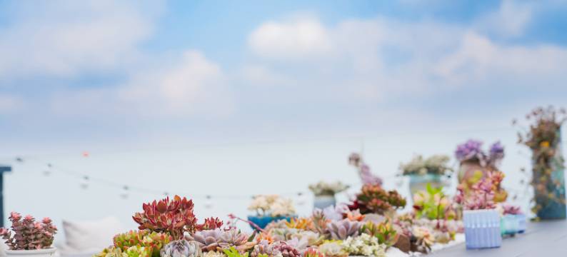 半隐·桃源山野精品度假酒店图片