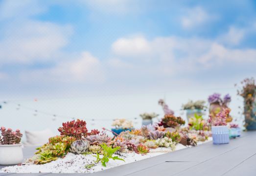 Half Hidden - Peachland Mountain Boutique Resort & Spa Hotel Overview