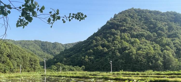 景德镇柏兰卡民宿(鱼山大道店)图片