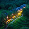 云茶山庄