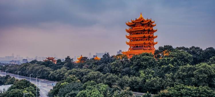 丽顿华居酒店(武汉黄鹤楼彭刘杨地铁站店)图片