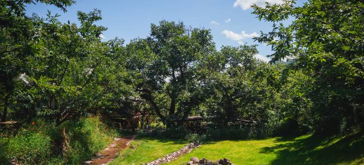 园也村宿集·山谷露营地图片