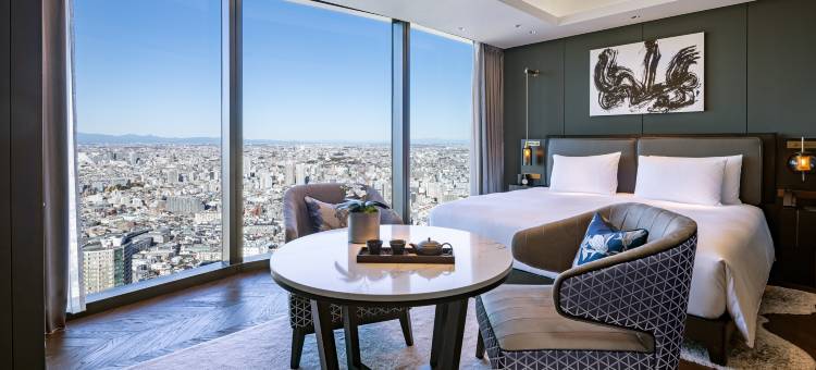 东京泛太平洋骊星酒店(Bellustar Tokyo, A Pan Pacific Hotel)图片