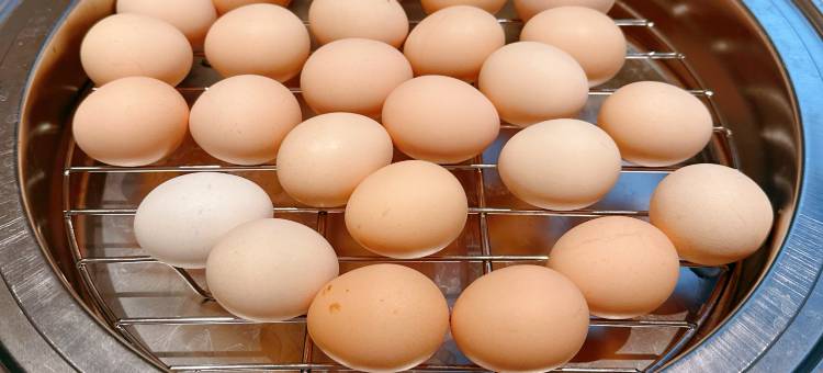 IU酒店(佛山三水白坭店)图片