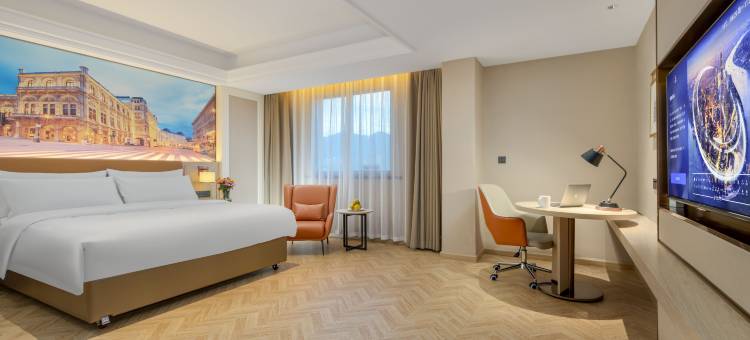 维也纳酒店(丽水龙泉店)图片