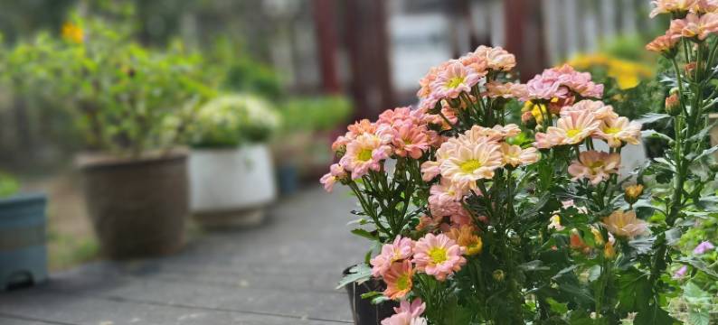 荻港花恬小筑民宿图片