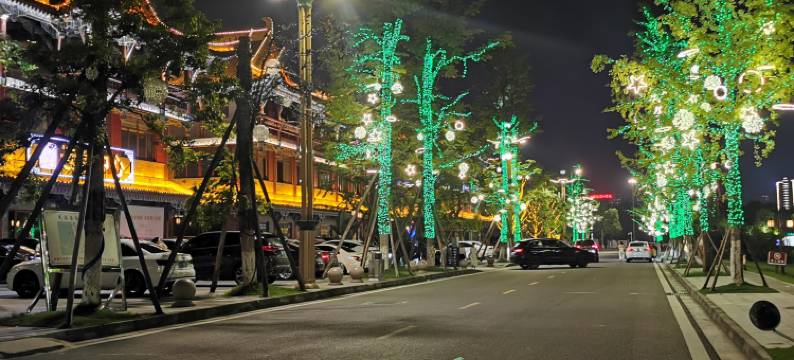 Leah·设计师民宿(眉山东坡印象水街店)图片