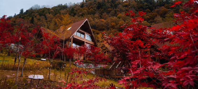 华美达温泉度假酒店(古尔沟旅游度假区店)图片