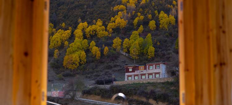 嘻啵小院岭卡溪民宿图片