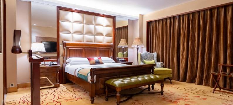 绵阳长虹国际酒店(绵阳市政府高铁站店)图片