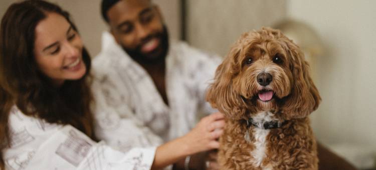 悉尼金普顿玛格特酒店(Kimpton Margot Sydney)图片