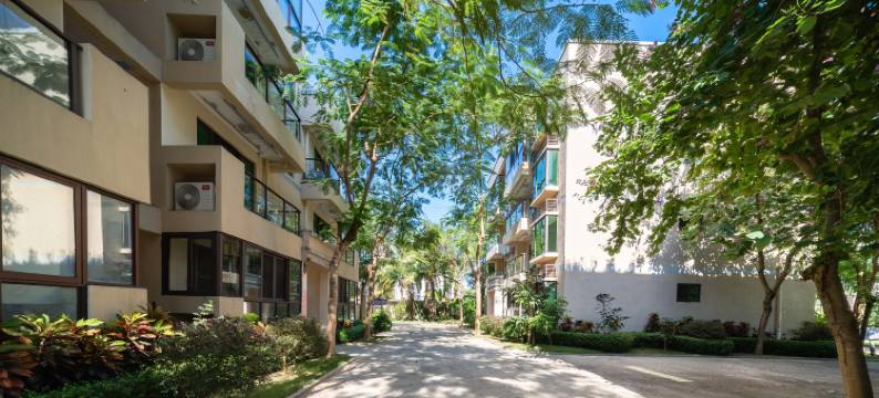 清水湾惠家康养公寓(万福夜市店)图片