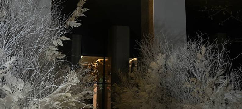 纽布朗中心明洞酒店(New Blanc Central Myeongdong)图片