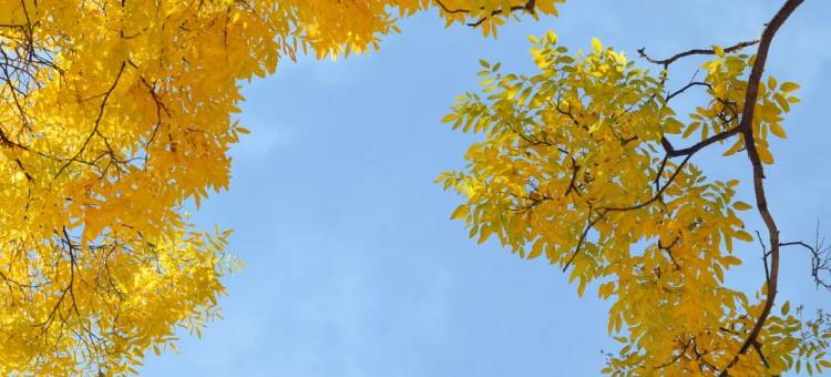 拉萨春秋富氧酒店(布达拉宫八廓街店)图片