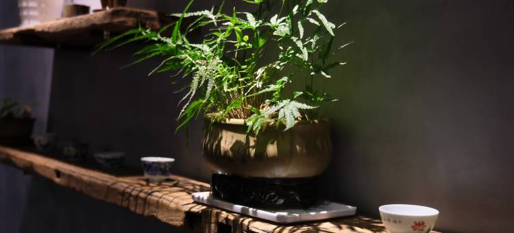 景德镇七间半艺术客栈(中国陶瓷博物馆古窑民俗博览区店)图片