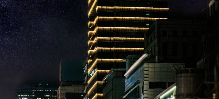 首尔江南艾琳娜酒店(Hotel Eliena Seoul Gangnam)图片