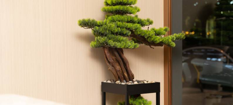 云季国际酒店(陵水高铁站海韵广场店)图片