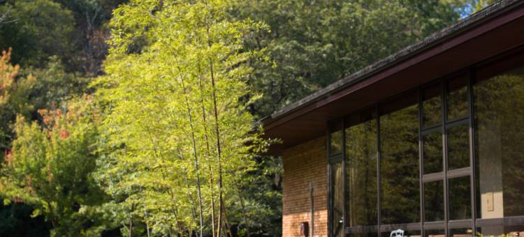 千之杜(Sennomori)图片