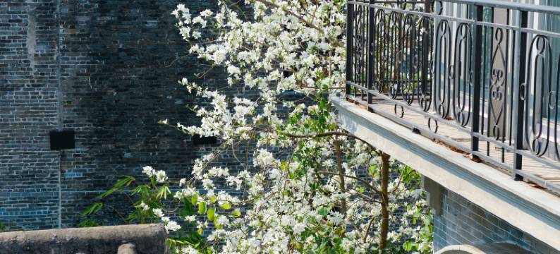 得闲坊民宿(广州荔湾湖公园永庆坊店)图片