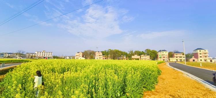 弋阳大树集田园民宿图片