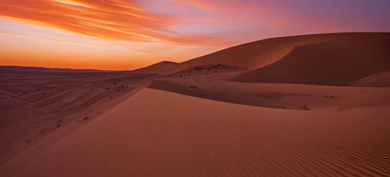 沙之旅·沙漠星星宿集露营地图片