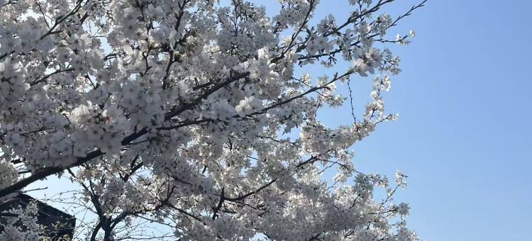 西塘花·叙民宿(西塘古镇景区烟雨长廊店)图片