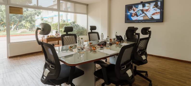 维拉所酒店套房(Hotel Suites Villasol)图片