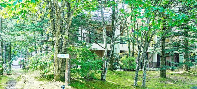 东急假期 轻井泽(TokyuVacations Karuizawa)图片