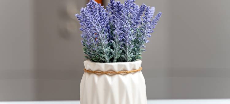 麗枫酒店(景德镇陶溪川北路店)图片