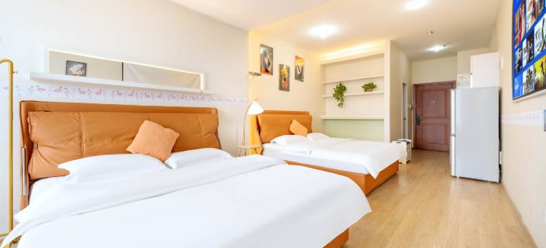 沈阳莉莉嘉民宿(北站辽宁中医药大学店)图片